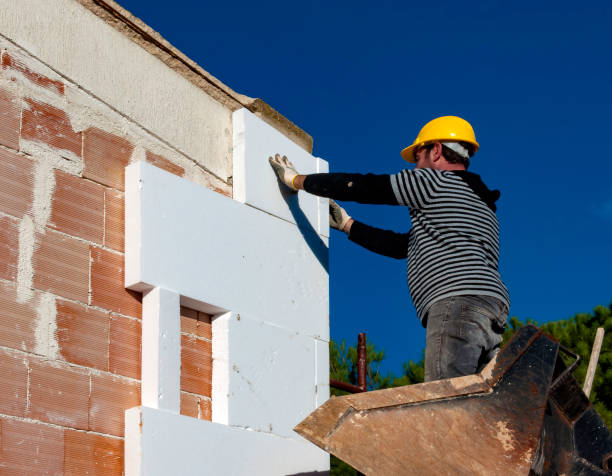 Best Soundproof Insulation Installation  in Carrollton, IL