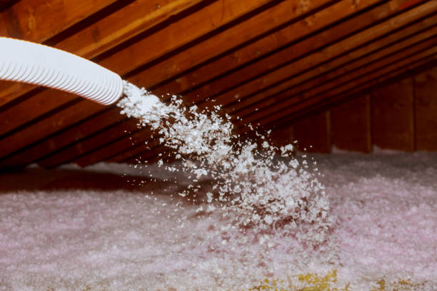 Best Energy-efficient Insulation  in Carrollton, IL