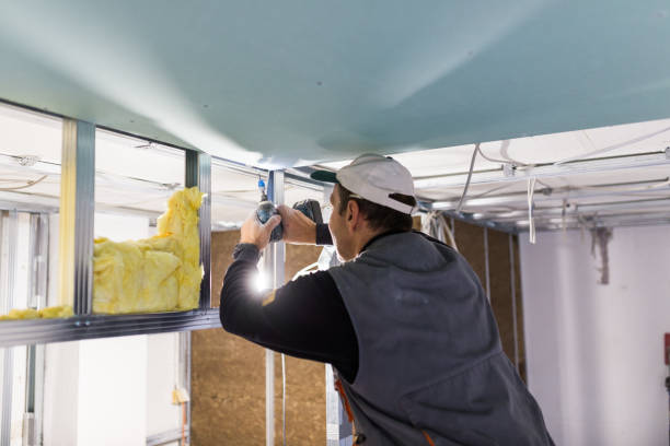 Best Attic Insulation Installation  in Carrollton, IL