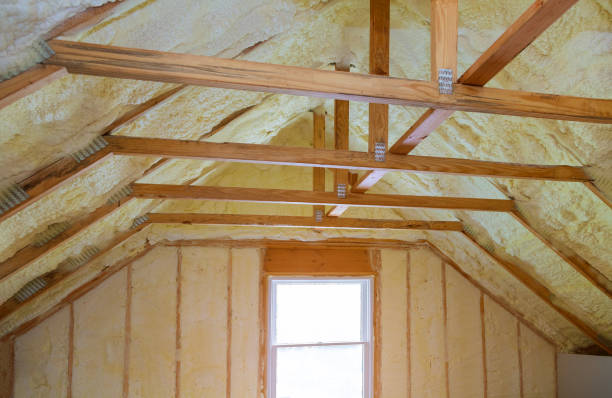 Best Wall Insulation Contractor  in Carrollton, IL