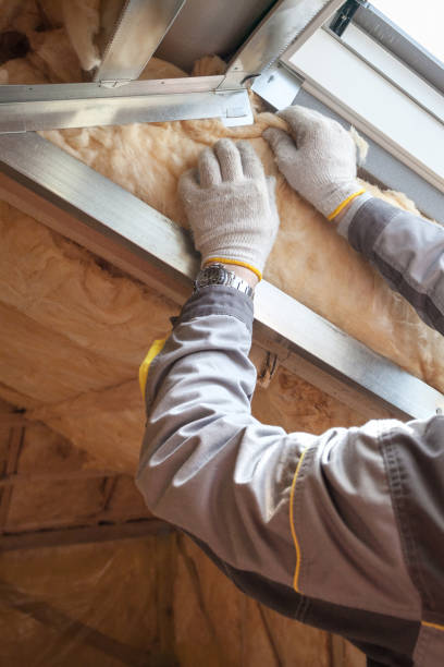 Best Affordable Insulation Services  in Carrollton, IL