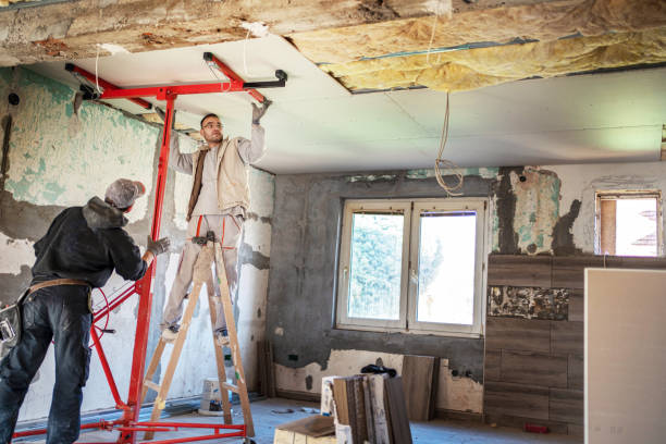Best Attic Insulation Installation  in Carrollton, IL