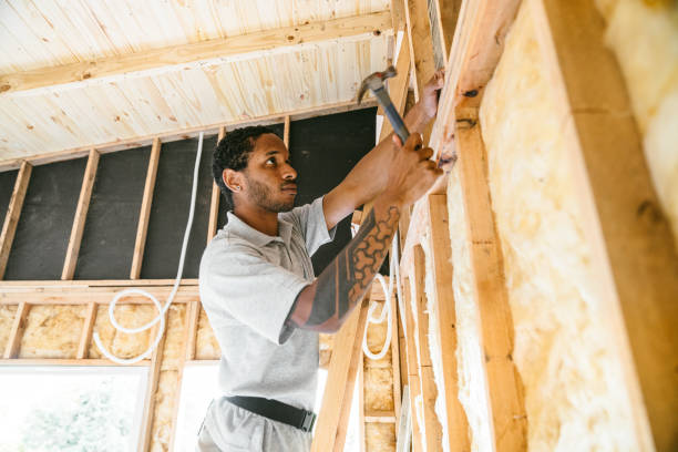 Best Insulation Replacement Services  in Carrollton, IL