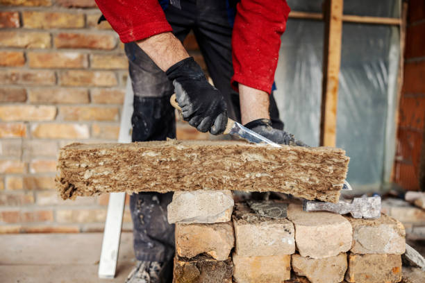 Best Insulation Repair Services  in Carrollton, IL