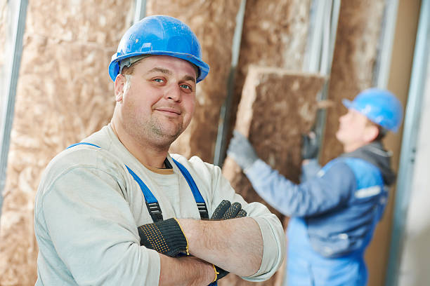 Best Crawl Space Insulation  in Carrollton, IL