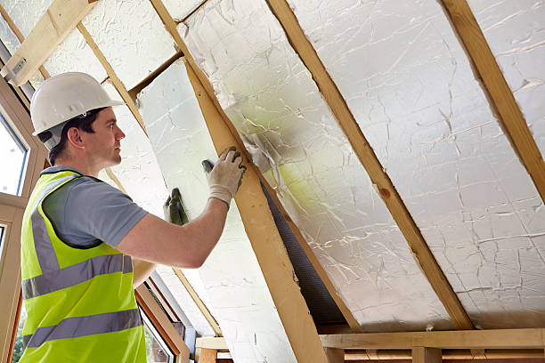 Best Spray Foam Insulation  in Carrollton, IL