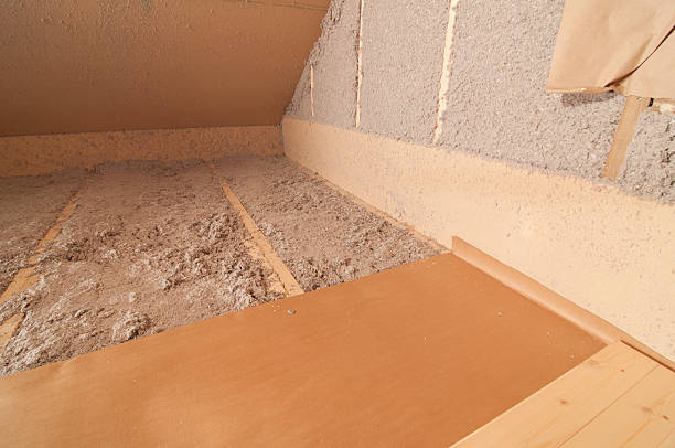Best Energy-efficient Insulation  in Carrollton, IL