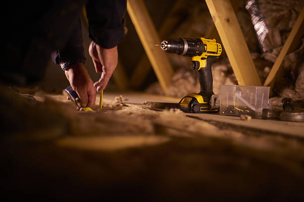 Best Insulation Inspection Services  in Carrollton, IL