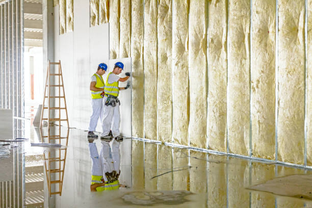 Best Garage Insulation Installation  in Carrollton, IL